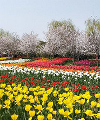 �����ú��ʺϳ�ȥ����