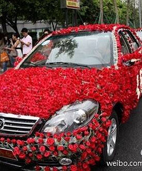 �����Ļ鳵װ�� ���ܽ���ô