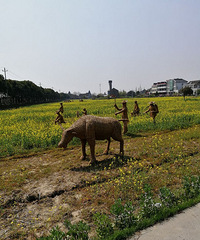 �������