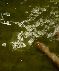 �������Ӿ���������