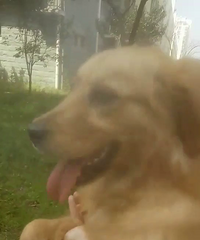 ���꣨���������ռ�԰��������8���´��ë����