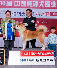 2017���й�����Ȯngkc���е�1��ף���Լ���