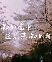 �ŵ�ӣ��·��