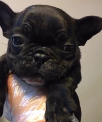 ���߷�ţ�ܵ�  ����800