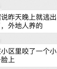 "突发:杭州发狂狼犬咬了1岁女婴的脸!又连咬7人!主人也没放过"