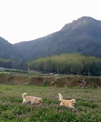 ����Ȯ������޹�