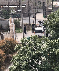 "杭州发狂狼犬咬了1岁女婴的脸!又连咬7人!连主人也没放过!"