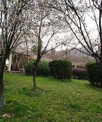 ���˺鲨��԰