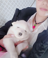 ��Ǽܺ�ë����ɵ����ĦҮ�����ˡ�