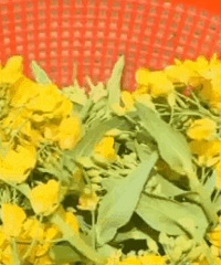 花不仅可以欣赏 还可以吃哦