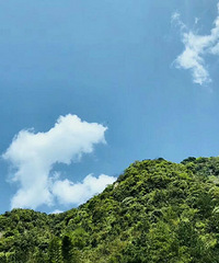 兰香竹苑,只为与你相遇