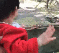 看到什么了?这么开心