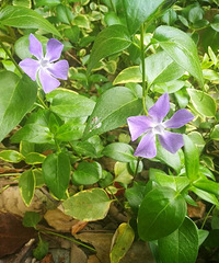 ��ů����