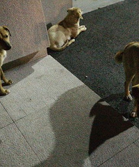 У԰��̫�꣬������������̫��ү