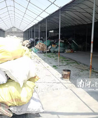 "嘉兴这家工厂对外宣传种植台湾枇杷,实际却是一车又一车塑料废料