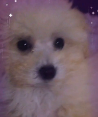 ���ȵ����͵ܵ����¼�