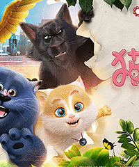 猫咪父子共同成长!抢楼送电影票啦