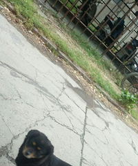 һ·�ĵ�����