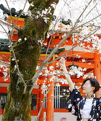 【今日穿搭】樱花季怎么能不这样穿