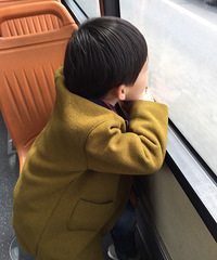 吃完午餐溜个娃~