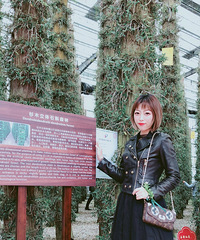 《女神莱了——今日穿搭》百变风格 春季穿搭 两周不重样~