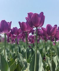 �����ܱ���