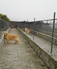 ����Ȯ��רҵ�������ѵ��