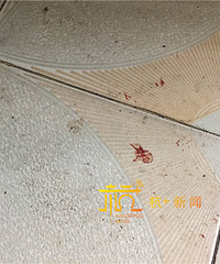 突发!闸弄口一对母子斗殴!儿子头砸破,妈妈剪刀自戳喉咙