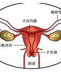 "绝经后卵巢良性肿瘤:治不治?怎么治?"