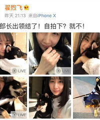 雷佳音老婆晒素颜照 (揭秘)雷佳音老婆是谁