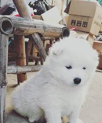 һ��һ������С�һ���