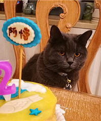 这辈子猫生也是完美了!