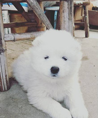 ������ĦҮ����