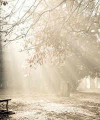 �غ��ģ��ߺ�·����ϧ�������У�����