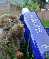 又到了露胳膊露腿的日子,小仙女们,美白可以动起来了
