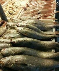 �ǻԲ��г�ˮ��̯λת�ó���