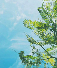 ����ͩ��ֵ�������������