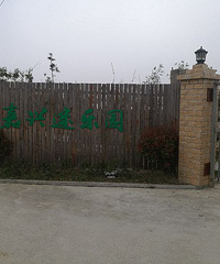 烧烤新去处,而且夏天晚上也可以