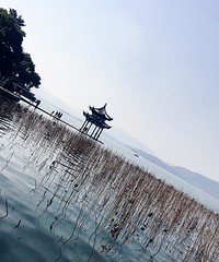 碎片化的杭州,是我每天经过的图景!