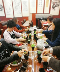 童话场景多肉盆栽组,萌不萌?