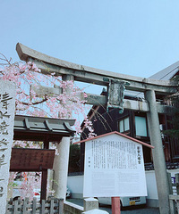不要再去景点人挤人做背景了!这几个小众又好看的日本旅拍地,赶