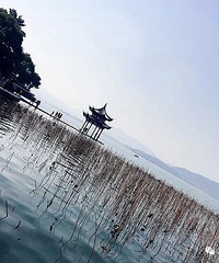 杭州路口的2分钟上热搜 !20辆浙A车做了同个动作