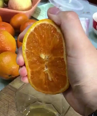 云南沃柑