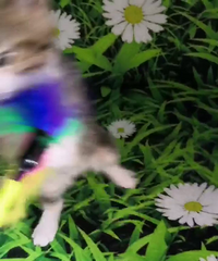 ����������������