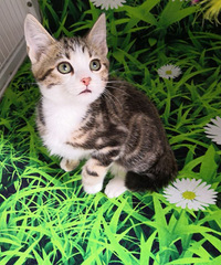 ����������������