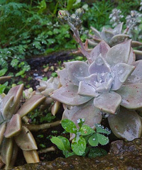 ����Ҳ���Ժ�Բ��