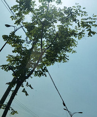 ����ս��