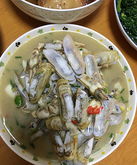 打卡:好次