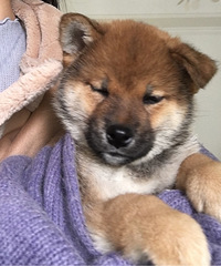 ��Ȯ�������¼�