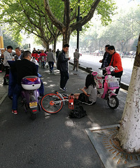 凤起路早上逆行的人真多,难怪老出这种事